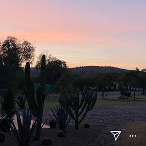 Meet your Posher, Yuli